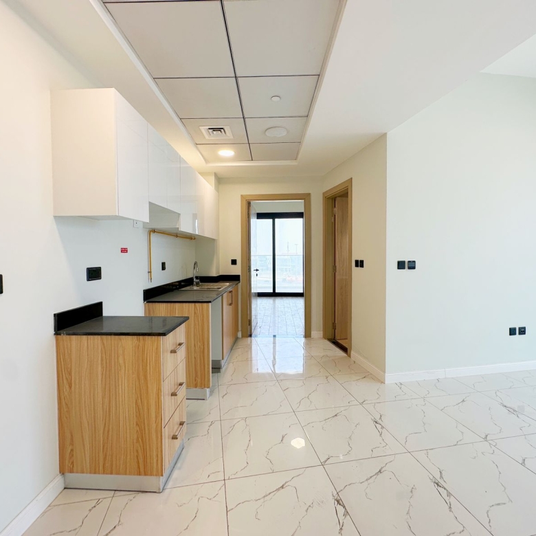 Unit 509 1BHK Alexis Tower