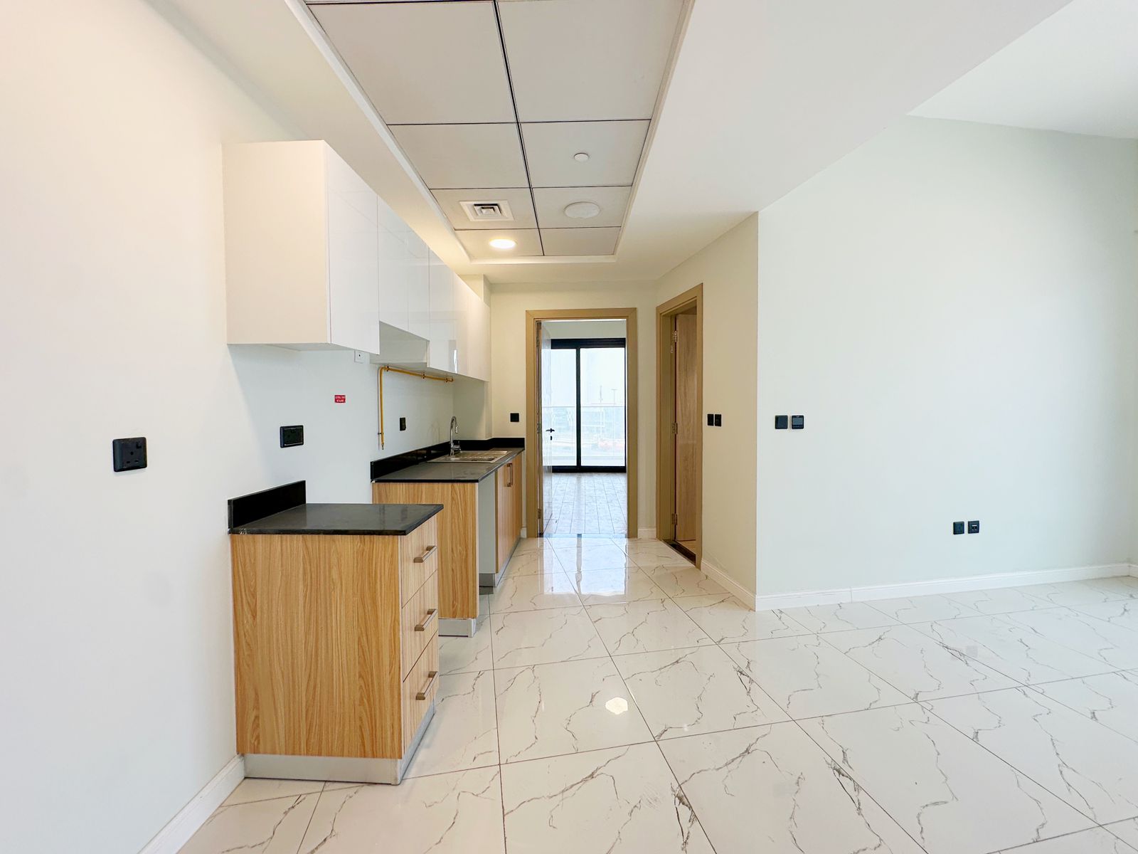 Unit 509 1BHK Alexis Tower