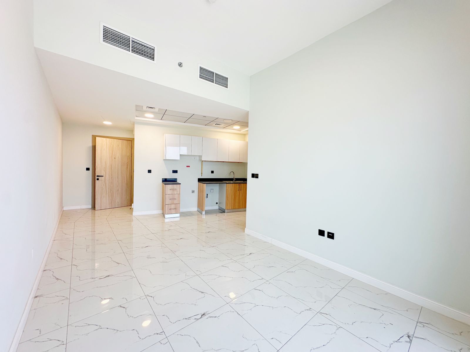 Unit 509 1BHK Alexis Tower